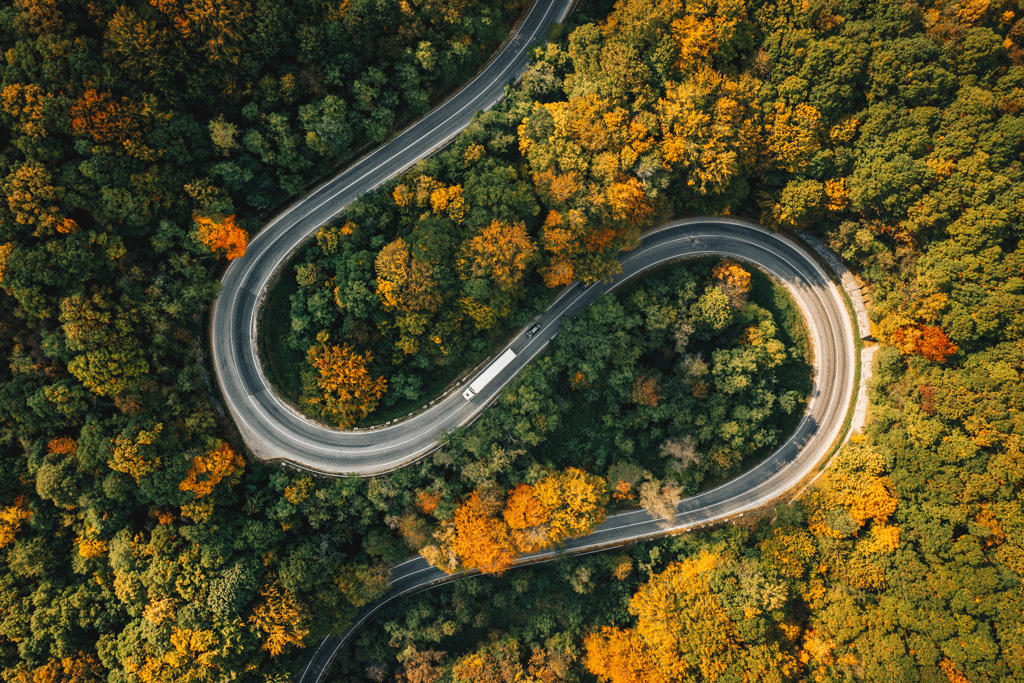 Un carrello elettrico che guida su una strada tortuosa attraverso alberi in autunno